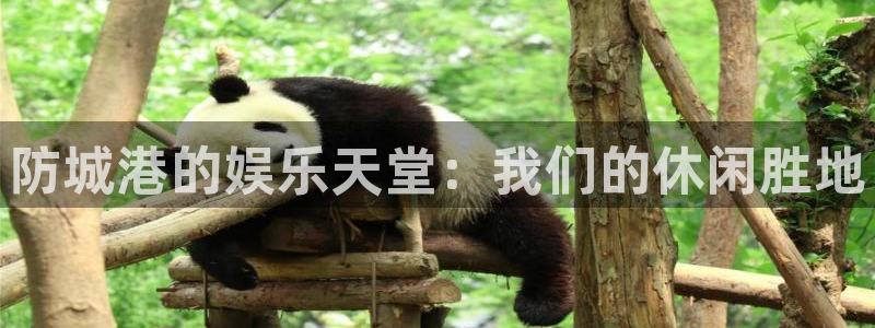 bg大游app：防城港的娱乐天堂：我们的休闲胜地