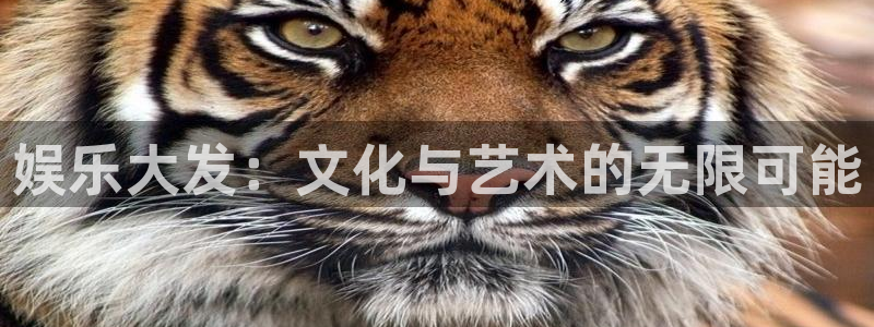 bg大游app：娱乐大发：文化与艺术的无限可能