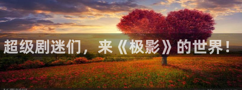 bg大游娱乐官网