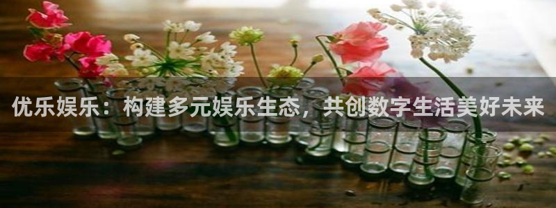bg大游娱乐官网：优乐娱乐：构建多元娱乐生态，共创数字生活美好未来
