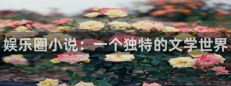 bg大游官方网站：娱乐圈小说：一个独特的文学世界