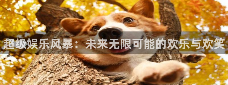 bg大游娱乐官网：超级娱乐风暴：未来无限可能的欢乐与欢笑