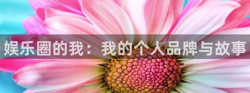 bg大游官方网站：娱乐圈的我：我的个人品牌与故事