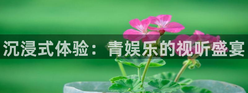 bg大游官网：沉浸式体验：青娱乐的视听盛宴