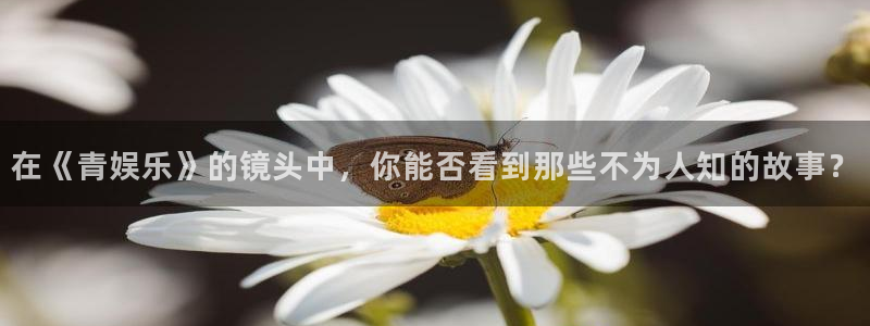 bg大游官方网站：在《青娱乐》的镜头中，你能否看到那些不为人知的故事？