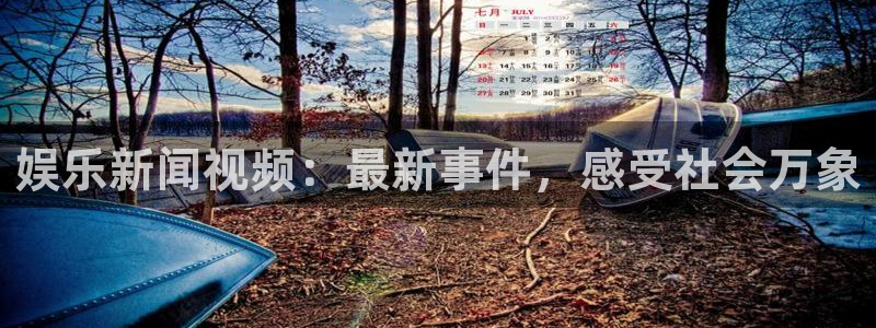 bg大游娱乐：娱乐新闻视频：最新事件，感受社会万象